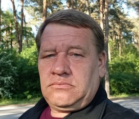 Юрий, 53 года, Псков