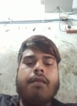 Aditya, 28 лет, Ahmedabad