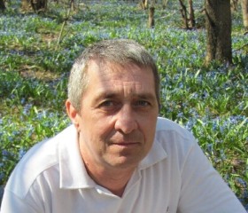 Игорь Воробьёв, 59 лет, Самара