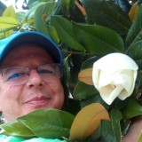 Galip Taner, 61  , Wellington