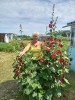 Olga, 65 - Just Me Photography 16