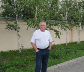Андрей, 68 лет, Минеральные Воды