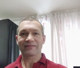 Владимир, 47 лет, Курск