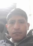 Carlos, 39 лет, Lima