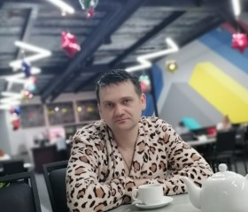 Юрий, 37 лет, Майкоп