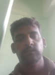 Ashif Ali, 39 лет, Chennai