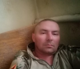 Андрей, 43 года, Артемівськ (Донецьк)