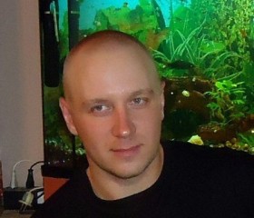 Денис, 43 года, Донецк