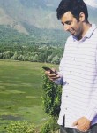Syed, 35 лет, Srinagar (Jammu and Kashmir)
