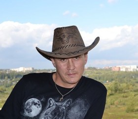 Антон Крицкий, 45 лет, Ставрополь
