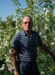 konstantin, 71, Gryazi