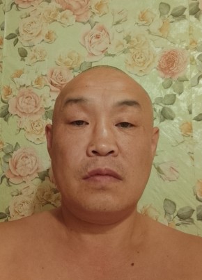 Ян