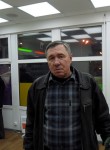 Геннадий, 73 года, Подольск