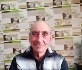 Анатолий, 74 года, Тамбов