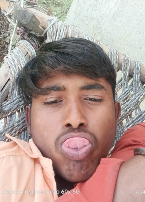 Kutta hua, 22, India, Charkhi Dādri