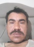 Hem Murat Şahin, 31 год, Ankara