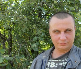 Лев, 46 лет, Дніпро