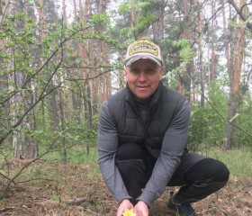 Серега, 55 лет, Троицк (Челябинск)
