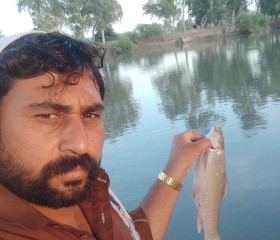 Zaheer, 35, Sambrial