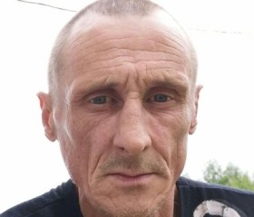 Михаил, 51 год, Тутаев