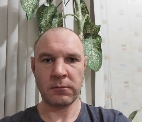 Максимус, 40 лет, Пугачев