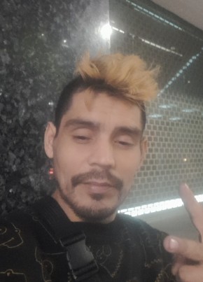 fabian из Santiago de Chile 37 лет