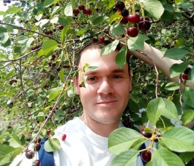 Павел, 34 года, Саратов