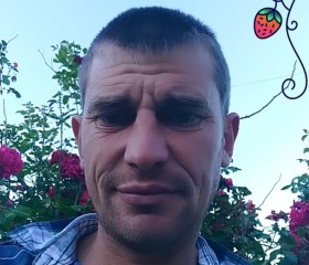 Юрий, 42 года, Симферополь