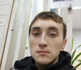 Дима, 25 лет, Челябинск