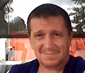 Александр Грибов, 50 лет, Кесова Гора