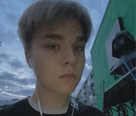 Никита, 19 лет, Архангельск