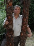 Александр, 68 лет, Новороссийск