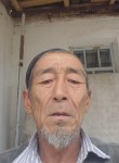 Бакын, 57 лет, Бишкек