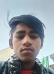 Shavez Ansari, 18 лет, Shimla