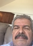 muneer ahad, 49 лет, عمان