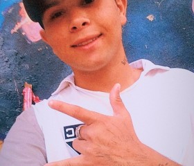 Daniel, 20 лет, Guarulhos