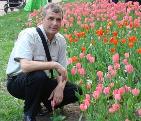 Николай, 69 лет, Пінск