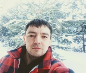 Aleksey, 37, Chelyabinsk