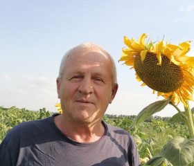 Владимир, 64 года, Южно-Сахалинск