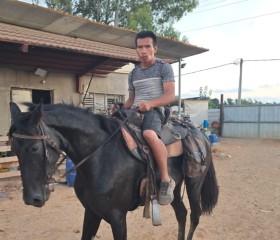 หนุ่ม, 42, Qalansuwa