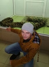 Oleg, 35, Belarus, Vawkavysk
