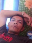 Dedek Wijaya, 35 лет, Kota Medan