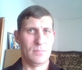 Анатолий, 44 года, Таганрог