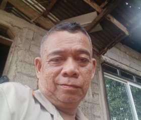 Danilo Salvador, 58 лет, Lungsod ng San Fernando (Ilocos)