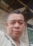 Danilo Salvador, 58 лет, Lungsod ng San Fernando (Ilocos)