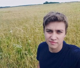 Михаил, 24 года, Брянск