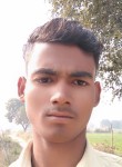 Samsher Raeen, 22 года, Fatehpur, Uttar Pradesh
