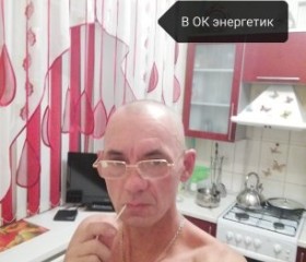 виктор, 54 года, Энергетик