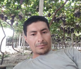 Хамидилло, 33 года, Oltiariq