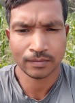 Vijay kumar, 28 лет, Surat